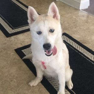 Meet your Posher, Carleigh